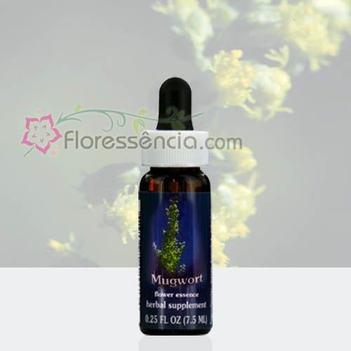 Mugwort - 7,5 ml - Floressência