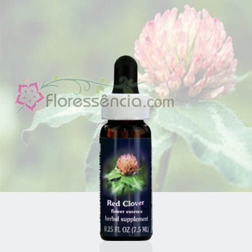 Red Clover - 7,5 ml  - Floressência