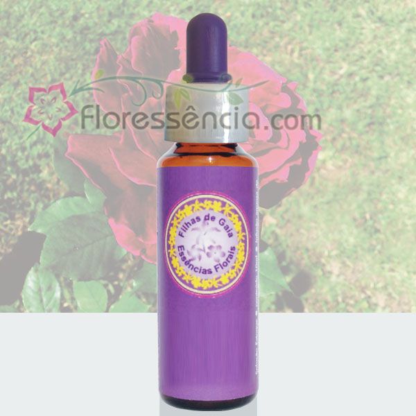 Rosa Carmin - 10 ml - Floressência