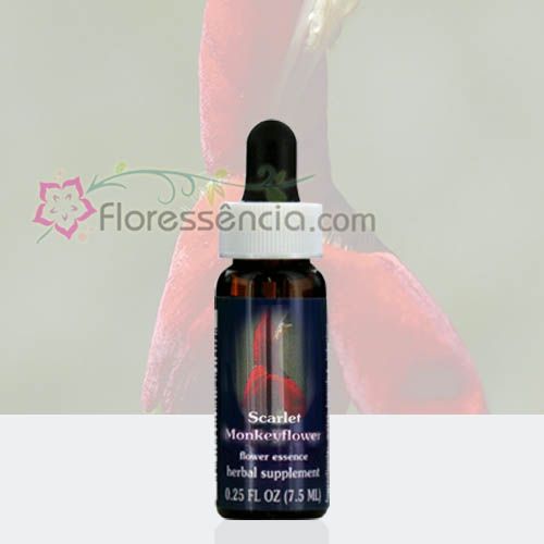 Scarlet Monkeyflower - 7,5 ml - Floressência