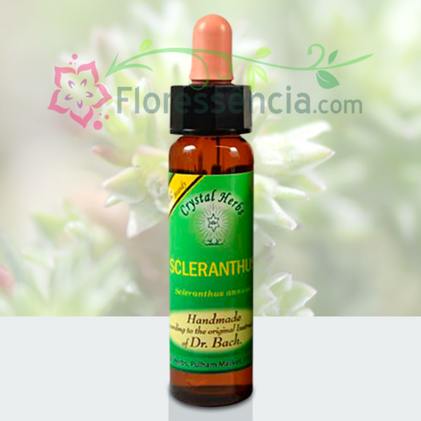 Scleranthus - Florais de Bach Crystal Herbs - 10 ml  - Floressência