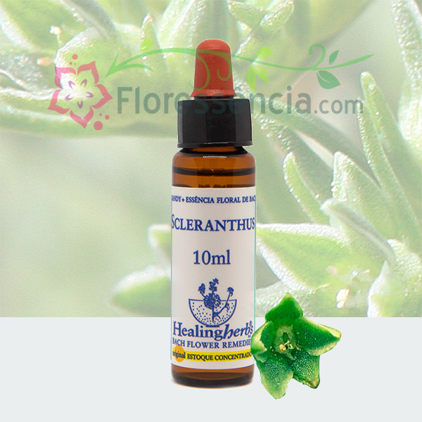 Scleranthus - Florais de Bach Healing Herbs - 10 ml - Floressência