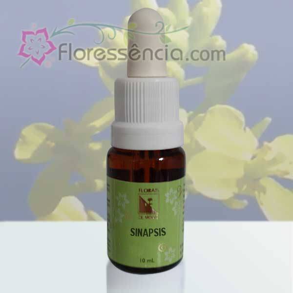 Sinapsis - 10 ml  - Floressência
