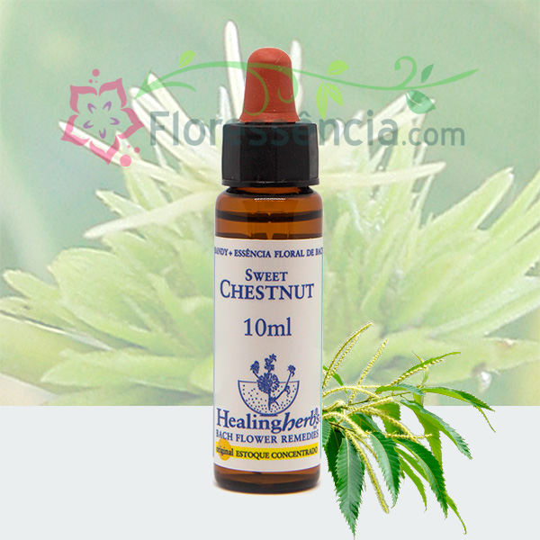 Sweet Chestnut - Florais de Bach Healing Herbs - 10 ml - Floressência