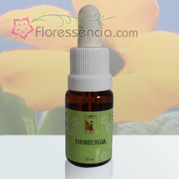 Thunbergia - 10 ml - Floressência