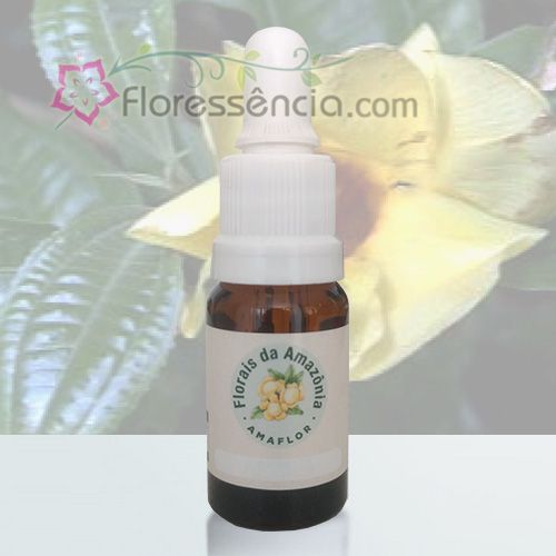 Vaso Perfumoso - 10 ml  - Floressência