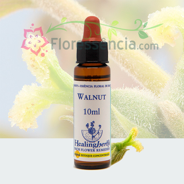 Walnut - Florais de Bach Healing Herbs - 10 ml  - Floressência