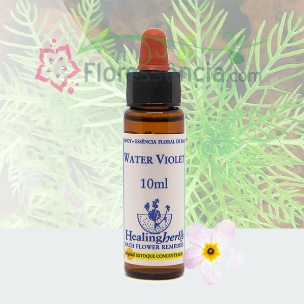Water Violet - Florais de Bach Healing Herbs - 10 ml  - Floressência