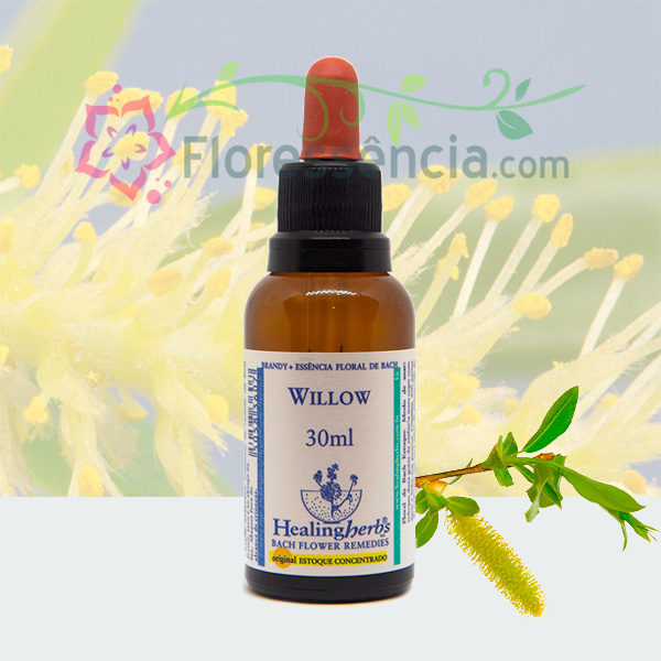 Willow - Florais de Bach Healing Herbs - 30 ml  - Floressência