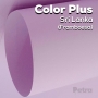 Color Plus - Sri Lanka - (Framboesa) - Lilas  - Tam. 30,5x30,5cm - 180g/m² - 20 folhas