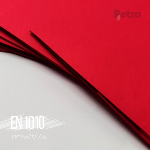 Envelope Modelo EN 1010 Vermelho  ( 13x21 cm dobrado ) 25 und