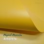 Papel Metálico Amarelo Tam: 48x66cm 180g/m² - 20 folhas