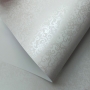 Papel Renda - Branco com Perola -  Tam. A4 - 180g/m² 20 Folhas