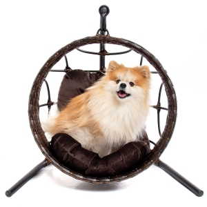 Cadeira Balanço Chaise pet Imagine