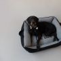 Caminha para Cachorro Beds for Pets Matelassê Marrom