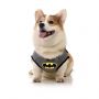 Fantasia para Cachorro Batman Licenciado