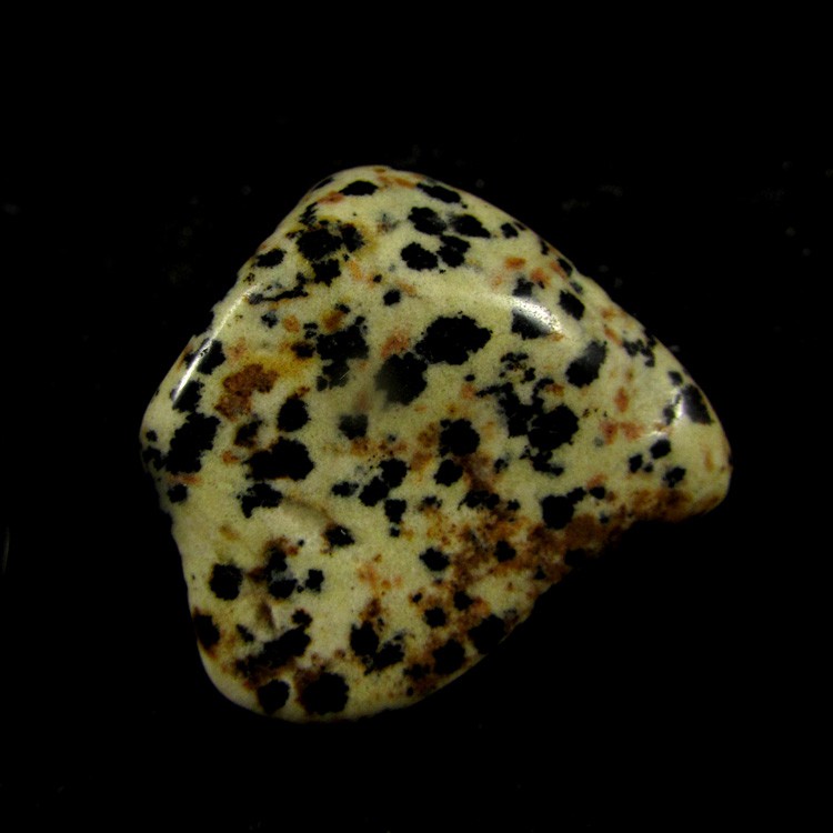 Jaspe Dálmata Pedra Natural Rolada - 5401