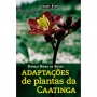 Adaptações de Plantas da Caatinga