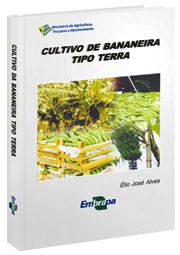 Cultivo de Bananeira Tipo Terra