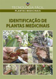 Identificação de Plantas Medicinais
