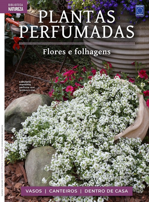 Plantas perfumadas - Flores e folhagens