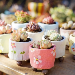 Mini pote de cerâmica para suculentas, acessório de jardim decorativo para planta suculenta de flores blumentopf, decoração doméstica de olla