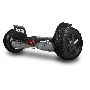 Hoverboard Two Dogs Monster Cinza Carbono Bluetooth
