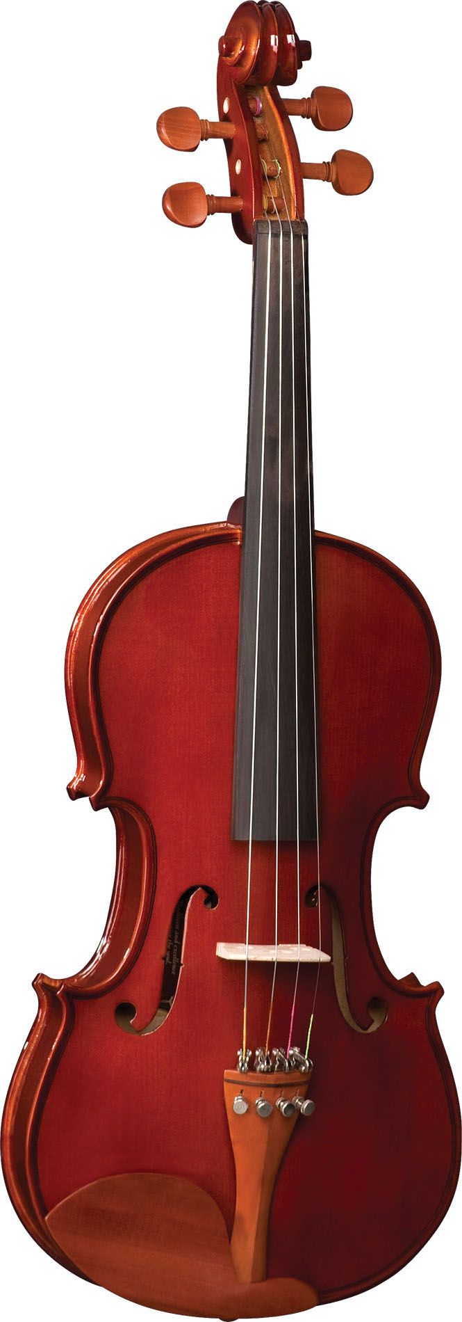 Violino EAGLE 4/4 Classic Series VE441 Envernizado