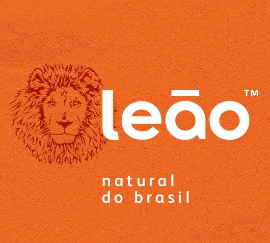 Chá Leão Premium, Gengibre e Especiarias, 10 saquinhos
