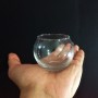 Kit 15 Mini Vasos Aquário De Vidro 100ml + 1kg Pedras Branca