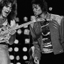 Quadro Van Halen & Michael