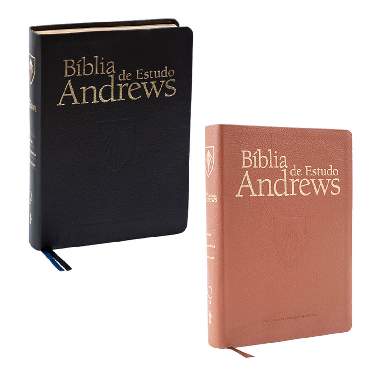Bíblia De Estudos Andrews Capa Couro Legitimo CPB