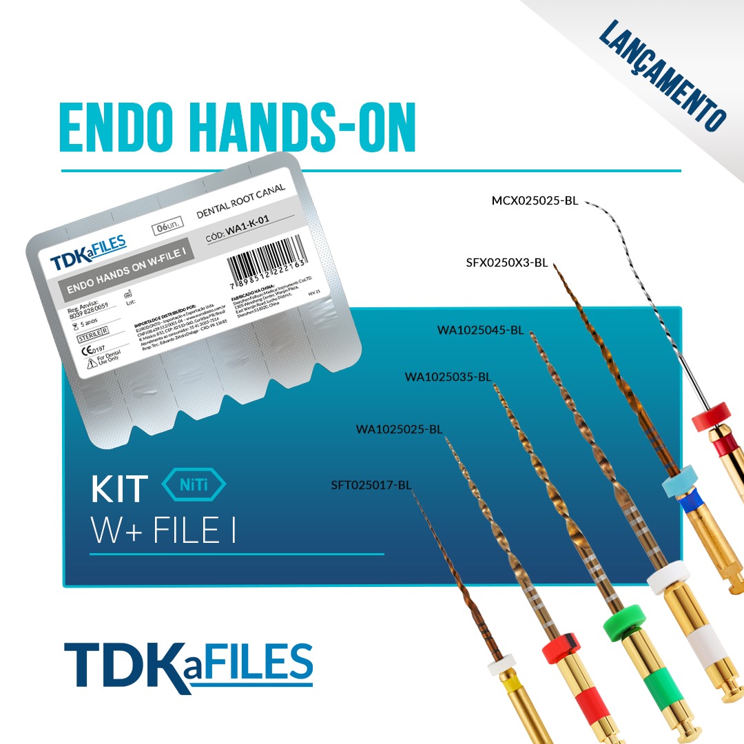 Lima Endo Hands On W+ File - TDK - Foto 0