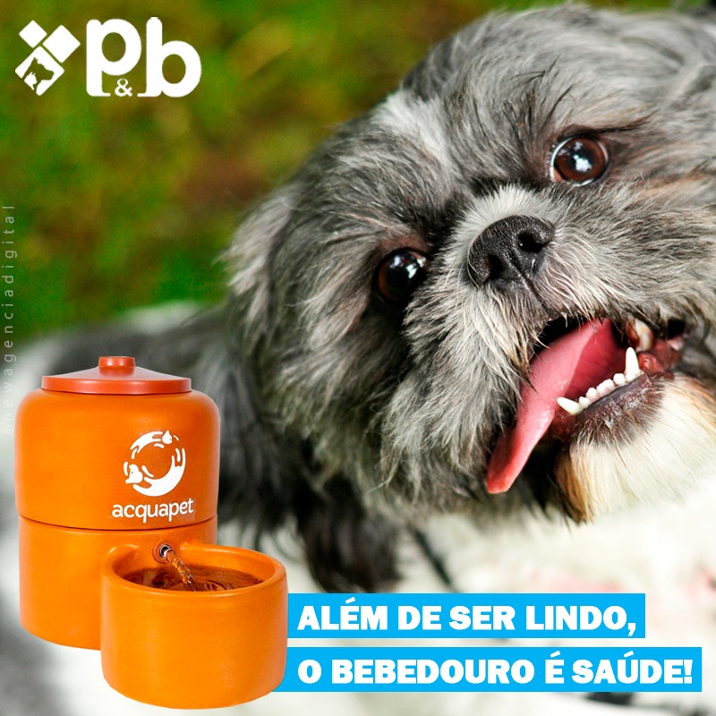 Bebedouro Acquapet Cerâmica 4 L c/Bomba  Bivolt P&B CABO INOX
