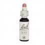 Olive 10 ml - Bach
