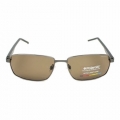 Óculos De Sol Polaroid PLD 2041/S RW2IG Marrom Polarizado