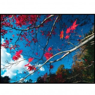 Quadro decorativo Árvores em canvas - AGAR014