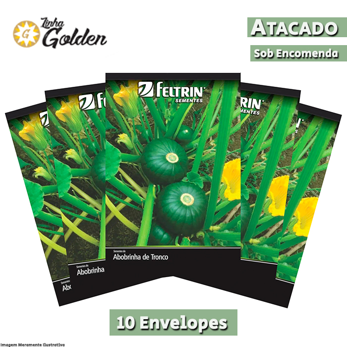 10 Envelopes - Sementes de Abobrinha Tronco Redonda Verde - Atacado - Feltrin - Linha Golden