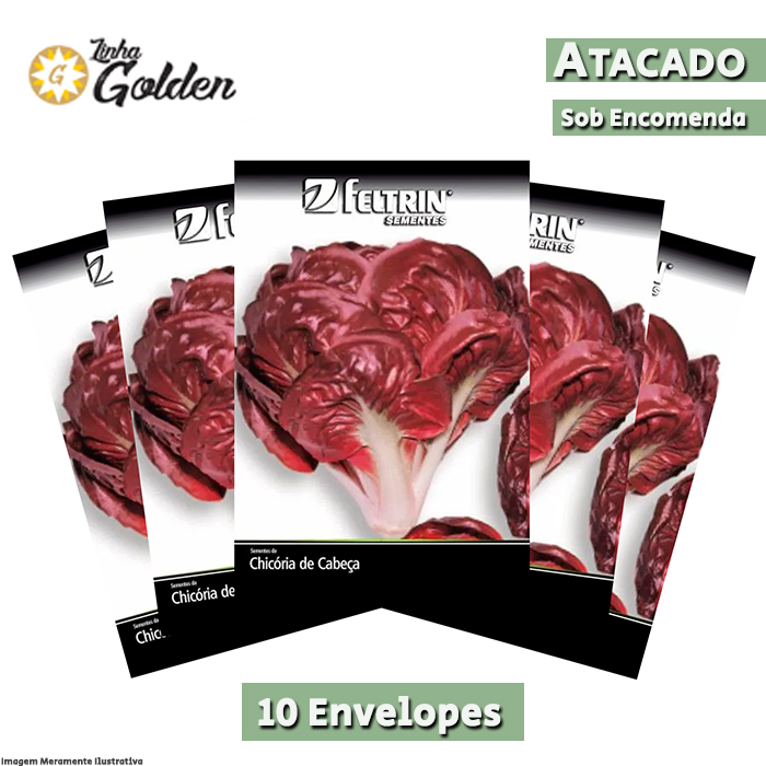 10 Envelopes - Sementes de  Chicória Potenza - Atacado - Feltrin - Linha Golden