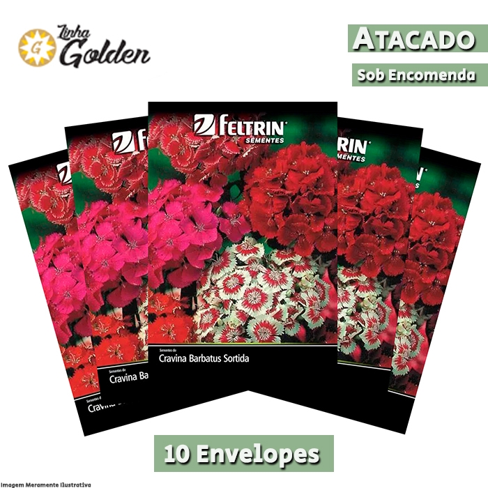 10  Envelopes - Sementes de Cravina Barbatus Sortida - Atacado - Feltrin - Linha Golden
