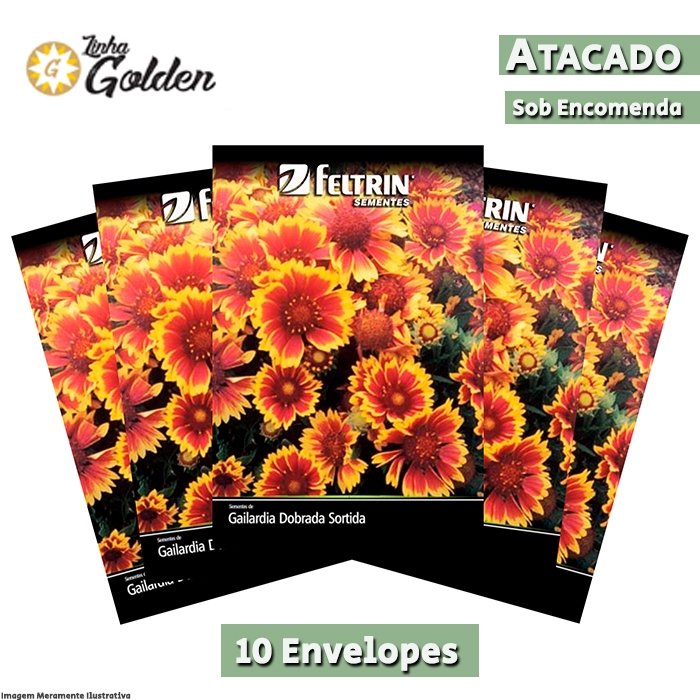 10 Envelopes - Sementes de Gailardia Dobrada Sortida - Atacado - Feltrin - Linha Golden