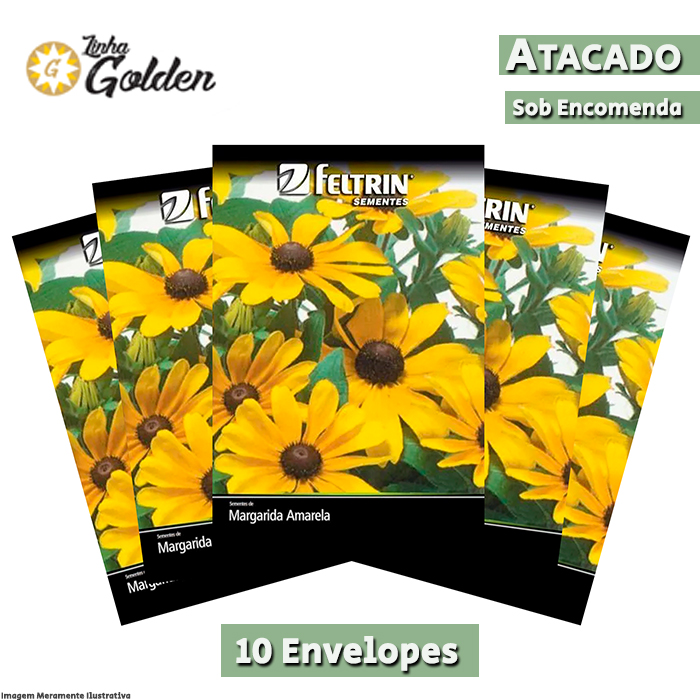 10  Envelopes - Sementes de Margarida Amarela Rudbeckia - Atacado - Feltrin - Linha Golden
