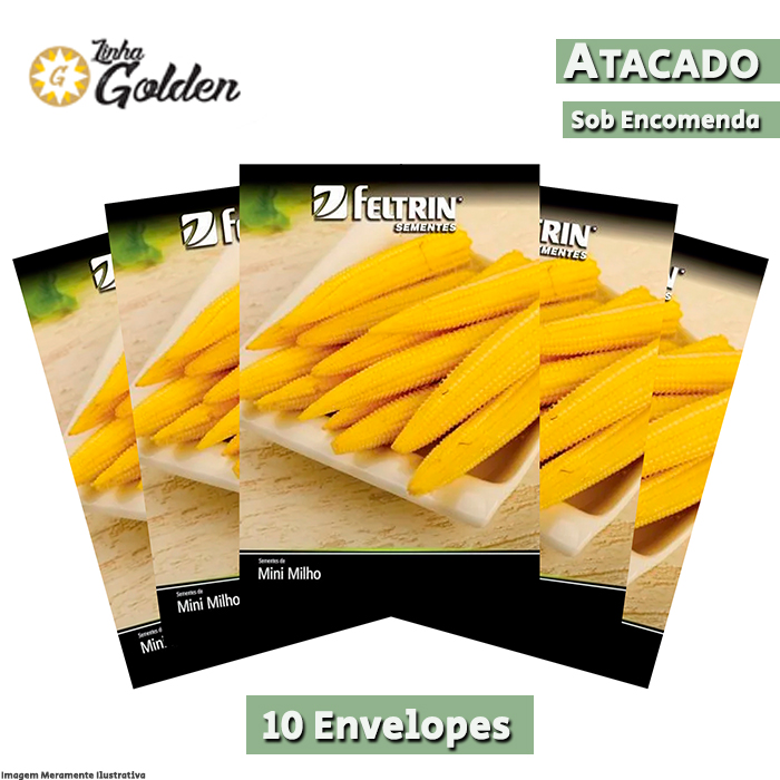 10 Envelopes - Sementes de Milho Mini Dimas - Atacado - Feltrin - Linha Golden