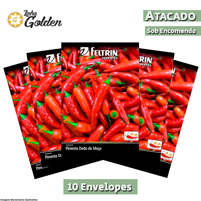10 Envelopes - Sementes de Pimenta Cayenne / Caiena / Dedo de Moça - Atacado - Feltrin - Linha Golden