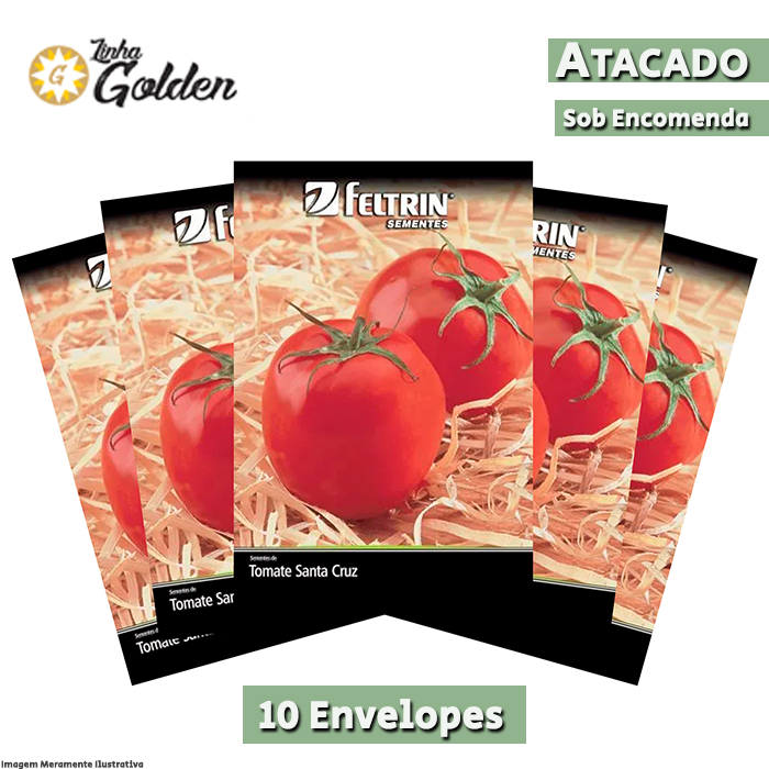 10 Envelopes - Sementes de Tomate Santa Cruz - Atacado - Feltrin - Linha Golden