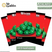 10 Envelopes - Sementes de Jiló Redondo Morro Grande - Atacado - Feltrin - Linha Golden