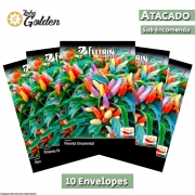 10 Envelopes - Sementes de Pimenta Floribela - Atacado - Feltrin - Linha Golden
