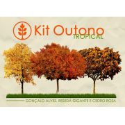 Kit Outono Tropical - 300 Sementes - Gonçalo, Resedá Gigante, Cedro Rosa - Mundo das Sementes