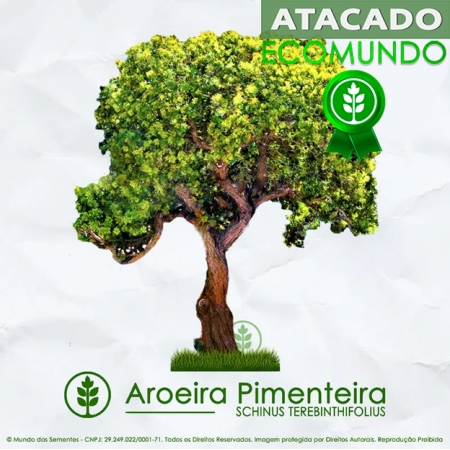 Sementes de Aroeira Pimenteira - Schinus terebinthifolius - Árvore - Atacado por Peso - Mundo das Sementes
