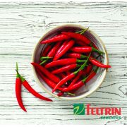 Sementes de Pimenta Malaguetinha Hot Pepper - Feltrin